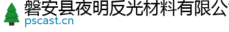 磐安县夜明反光材料有限公司